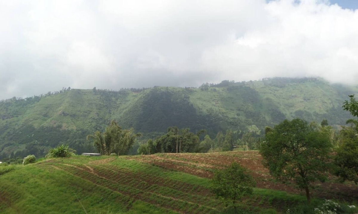 Sukapura Apartment | A twinbedroom private bathroom 30 minutes to Madakaripura waterfall