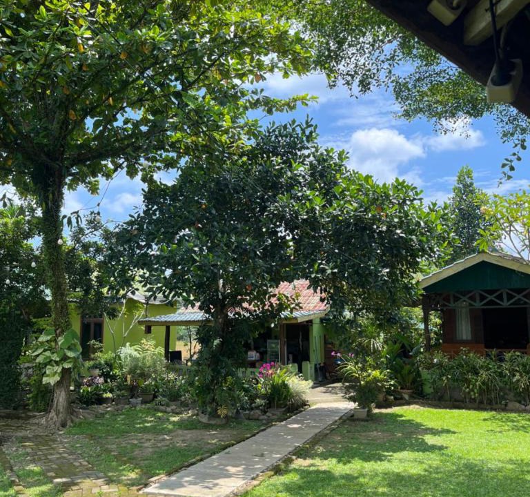 Bohorok House | AMBOW Homestay Jungle Trekking & Village Tour