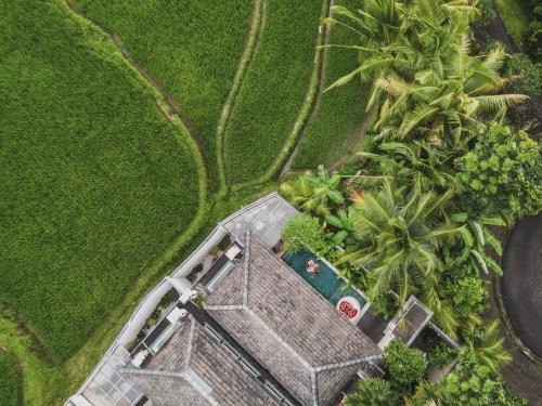 Kelusa Villa | Asvara Villa Ubud by Ini Vie Hospitality
