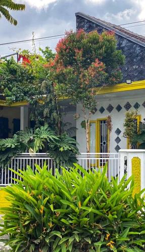 Kalipuro House | Banana Homestay