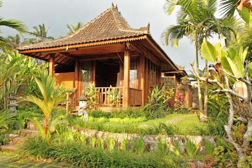 Tegallalang Hotel | Belvilla Moksha Ceking Rice TerraceNearUbud Jungle Swing