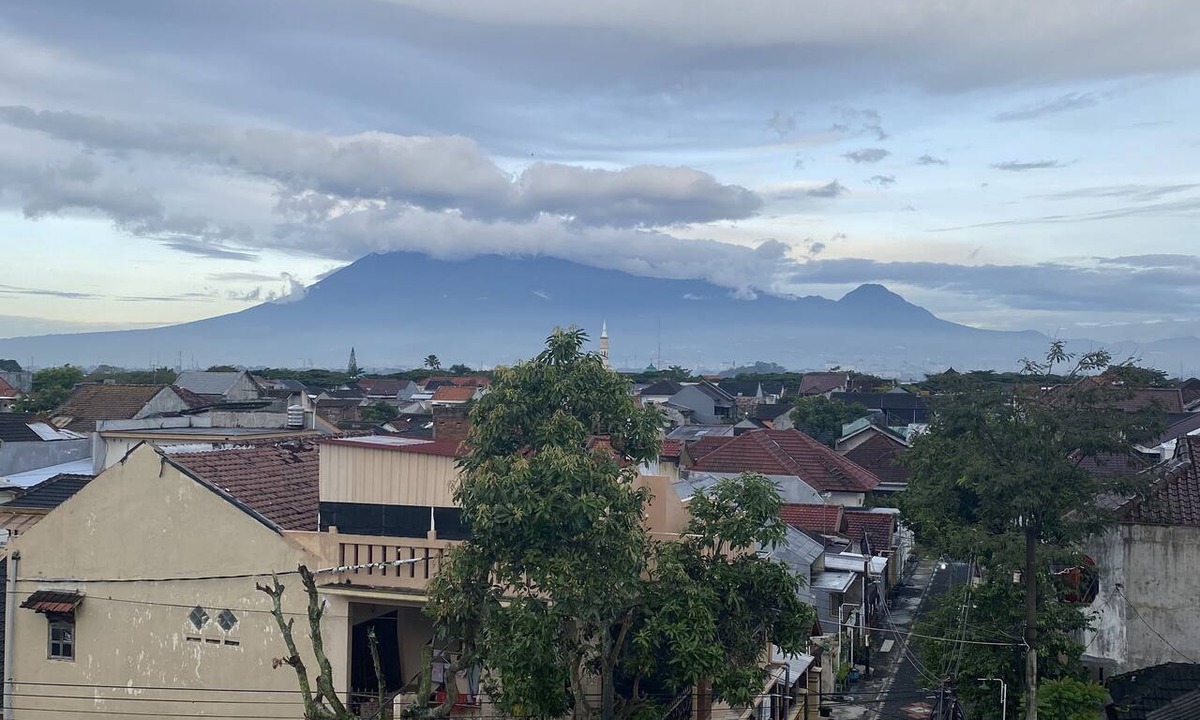 Malang House | Bima Guest House