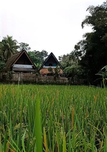 Tetebatu House | Bulan bungalows and kafe