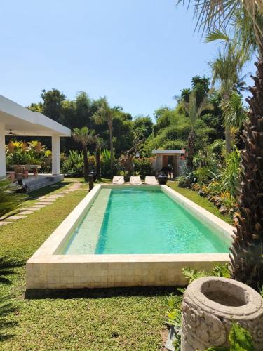 Kaliasem Villa | Charming Modern Villa Cactus, Peaceful Lovina Getaway
