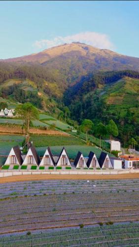Banjarasri Other | Dcahhya Family Cabin Villa The Sunrise View