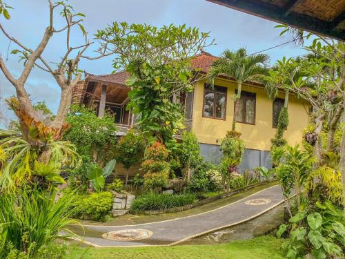 Munduk Hostel | Desa Hostel