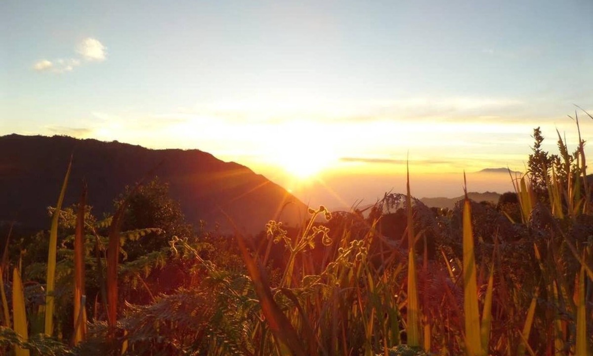 Ngadisari Bed & Breakfast | Family room 4 pax located at Bromo National Park