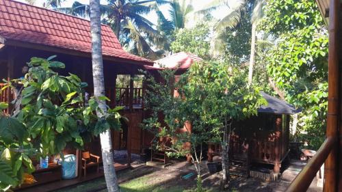 Medewi Hostel | Jungle Lodge Medewi Bali
