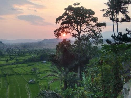 Ababi House | Kubu carik homestay
