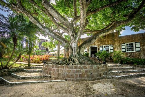 Pond Hill Resort | Montpelier Nevis