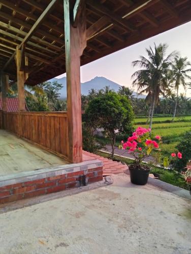 Kecamatan Montong Gading House | Nataqueen Bungalows