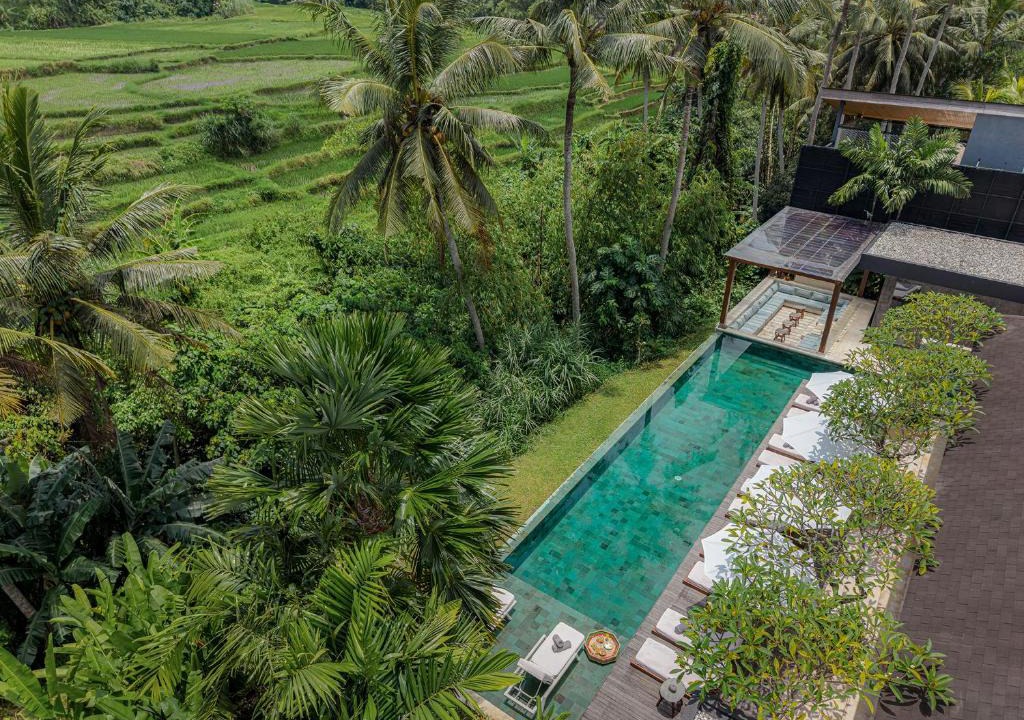 Mas Villa | New Villa Palmito by Optimum Bali Sanctuary with rice field views Ubud