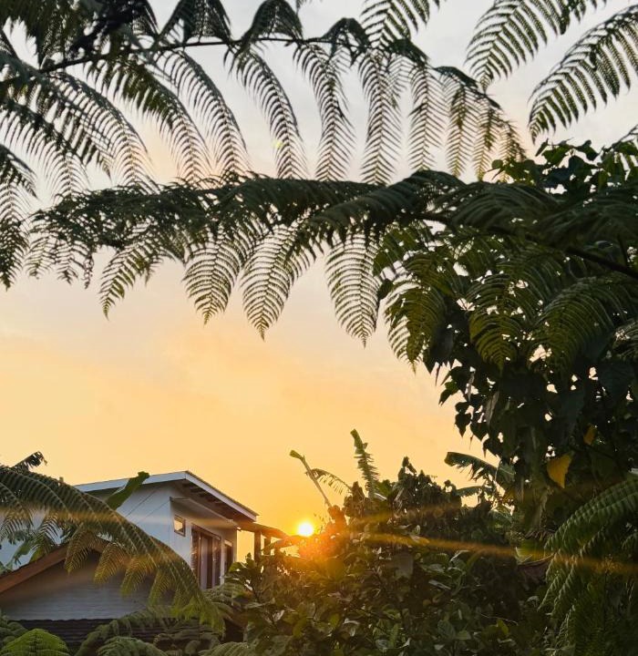 Kecamatan Pringgasela House | Opik Homestay Tetebatu