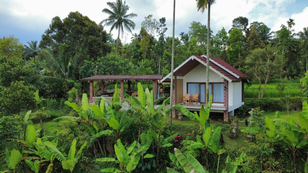Tetebatu Bed & Breakfast | Organic Rice Harmony