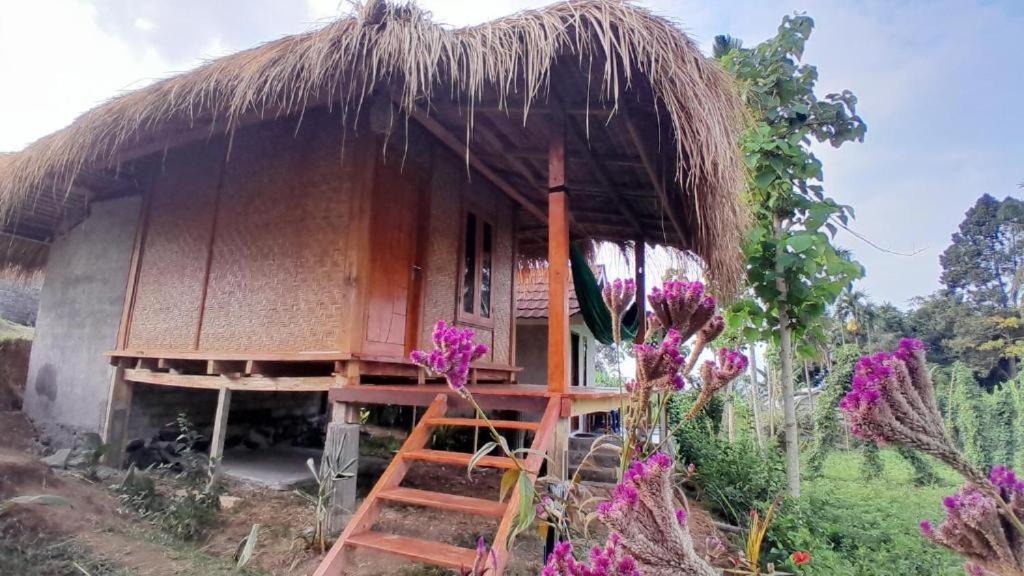 Bayan House | Rinjani Exotic