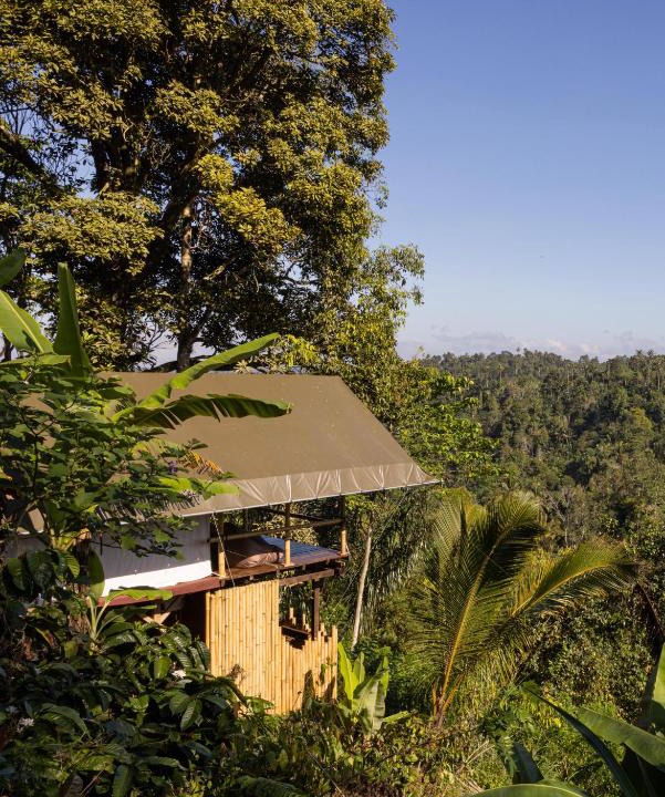 Pupuan Other | Sanda Plantation Hideaway