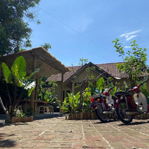 Borobudur Hostel | Social Ducks Hostel Borobudur