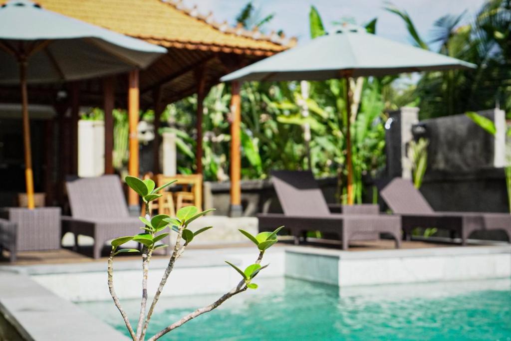 Tampaksiring Villa | The Banana’s Kumbe Villa