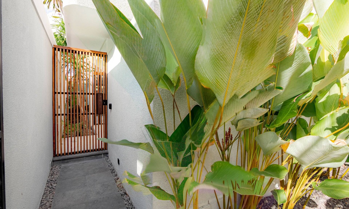 Dyanapura House | Town House 3 Bedrooms, Recent Construction, Bali