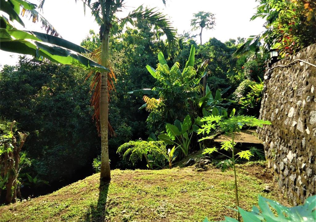 Tukad Mungga Resort | Villa Belindo