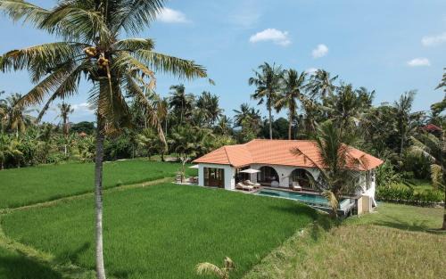 Pejeng Villa | Villa Léna - 3 Bedroom Villa Amidst Ubud's Rice Fields, 180 degree View