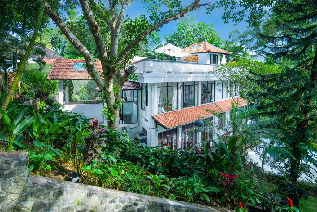 Kediri House | VILLA LUSIA RUMAH JOJO