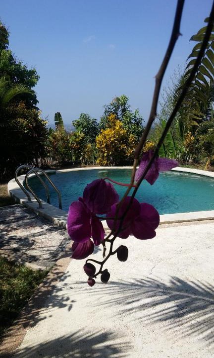 Negara House | West Bali Villas-Umasari Resort