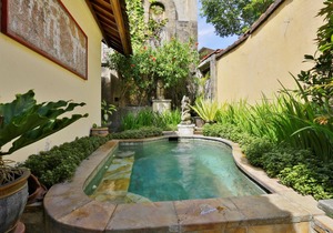 1 BR Villa near Ubud with a private plunge pool and a living area incl breakfast in Denpasar