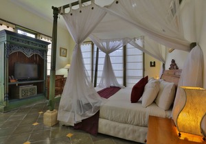 1 BR Villa near Ubud with a private plunge pool and a living area incl breakfast in Denpasar