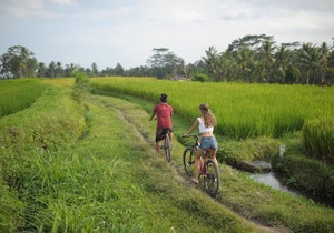 Beautiful Villa overlooking to Rice Field in Tegallalang