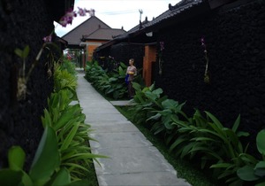 Beautiful Villa with Private Pool overlooking to Rice Field in Tegallang