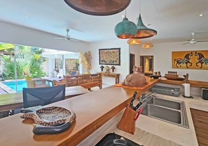 CHARMING VILLA JAVANEE IN CANGGU 15 MIN FROM BEACH in Canggu