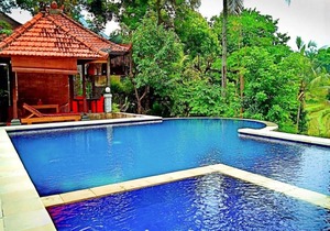 Lotus Guesthouse Sudaji: a natural and unique place in the North Bali. in Singaraja