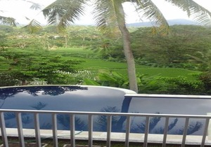 Lotus Guesthouse Sudaji: a natural and unique place in the North Bali. in Singaraja