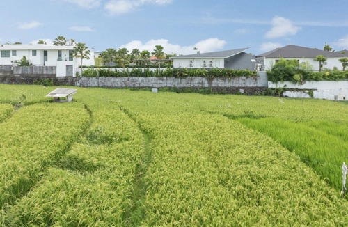 Berawa Villa | 4BR VILLA CANGGU NICE PLACE FOR GROUPS