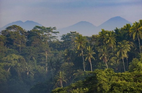 Samplangan Villa | 6.5BR Villa w/Waterfall & Feature Garden Near Ubud! 10min Drive to Bali Safari