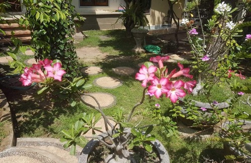 Culik House | A Newly 1-Bedroom House with Open Kitchen Overlooking to Garden