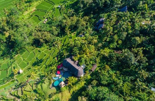 Nungnung Resort | Adiwana Dara Ayu Villas