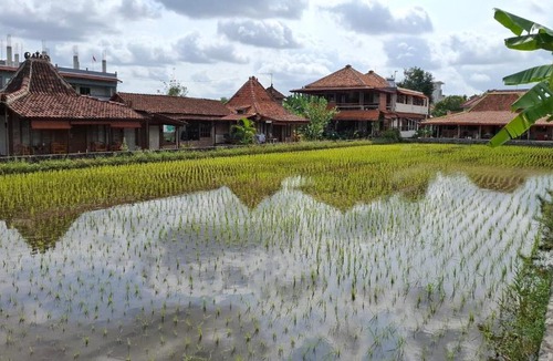 Sleman House | Alamanda Villas, Family Villas, Pool & Local Tours