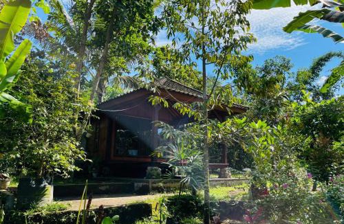 Kecamatan Montong Gading Hotel | Arina's Cabin