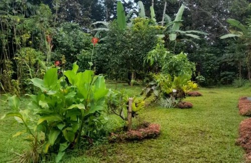 Wongaya Gede House | Bali Home Taksu