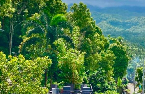 Munduk House | Bali Rahayu Homestay