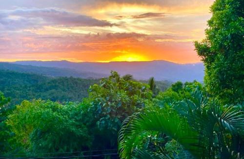 Munduk House | Bali Rahayu Homestay