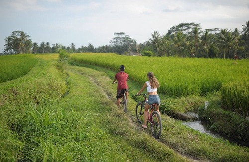 Kenderan Villa | Beautiful Villa with Private Pool overlooking to Rice Field