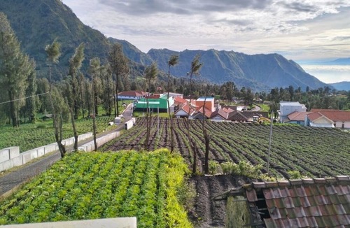 Ngadisari House | Bromo Seruni Guesthouse