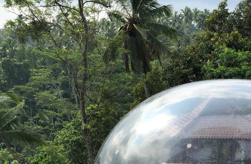 Tampaksiring House | Bubble Hotel Bali Ubud - Jungle Pool Bubble