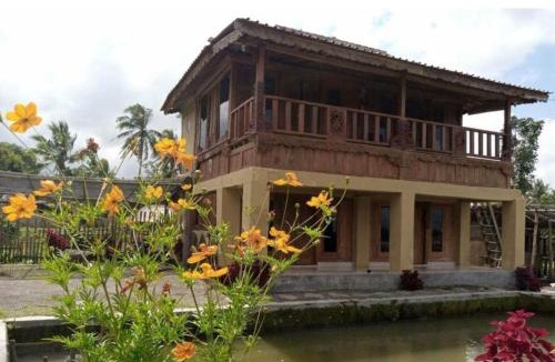 Batukliang Bed & Breakfast | Bujak Permai Villa Kangkung