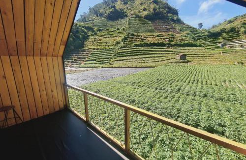 Kejajar Villa | cabin view danau