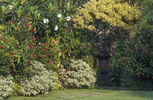 Seseh Villa | Canggu Bali Uma Wana Prasta Luxury Bali Estate Villa 7 Bedrooms