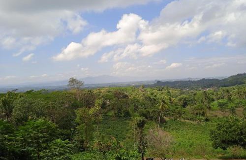 Kajarharjo Other | Citra Mandiri Glamping